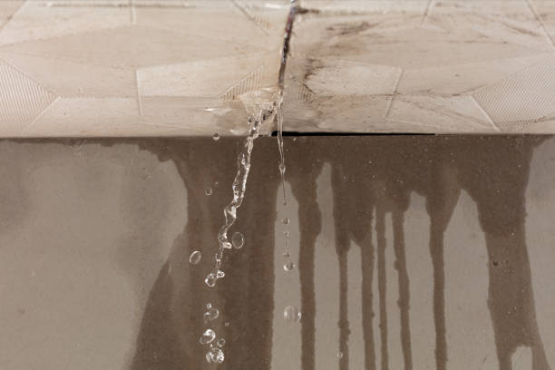 Professional Structural Drying technician working in Burnett, WI